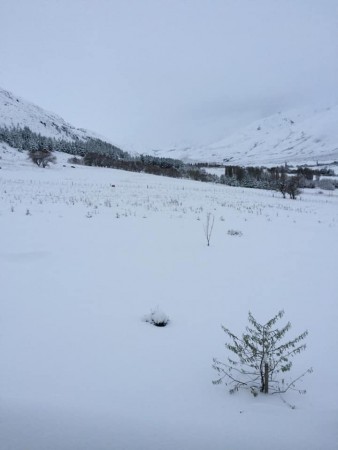 PREVENTA 16 Lotes en Esquel