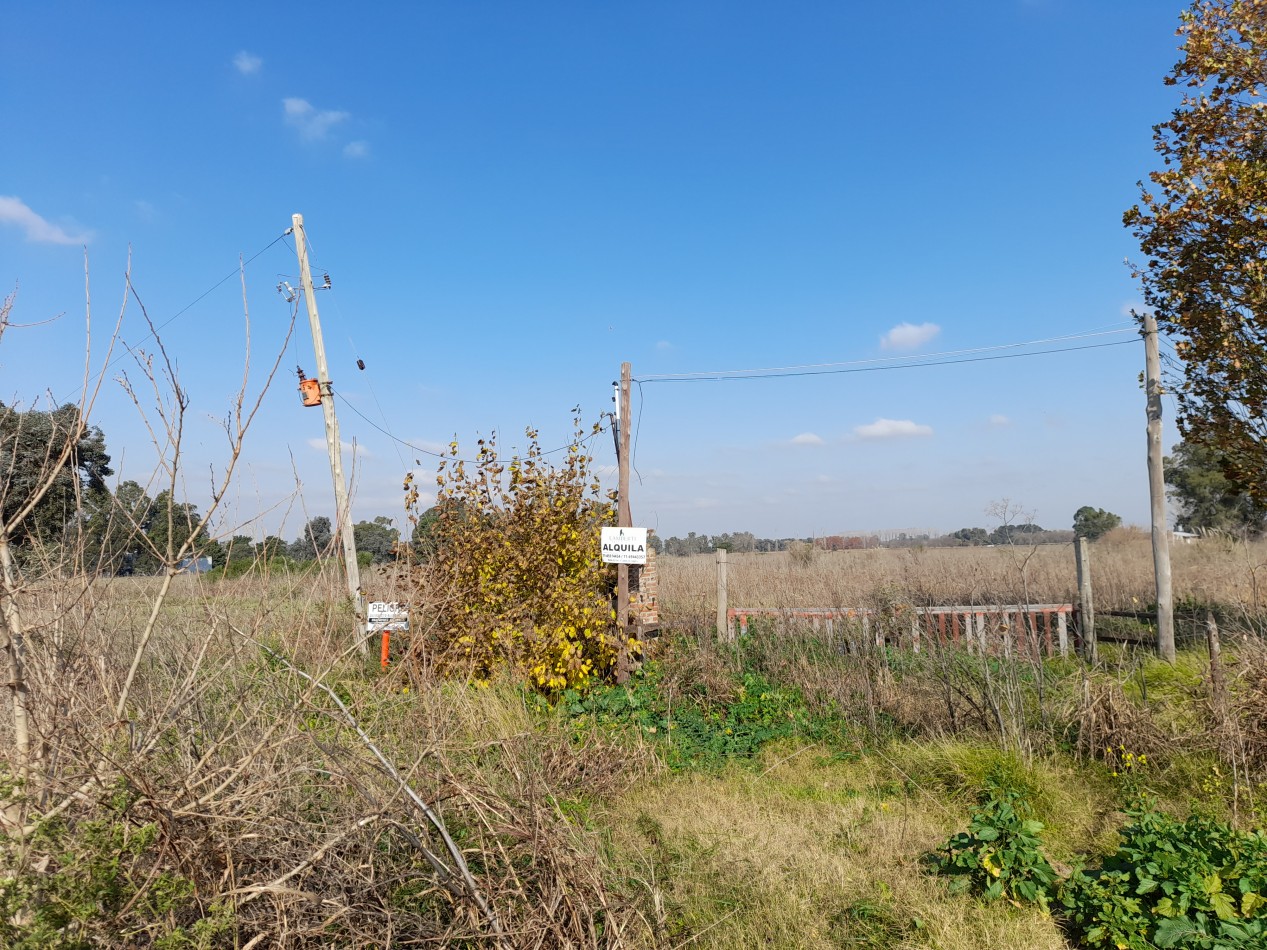 ALQUILER - CAMPO