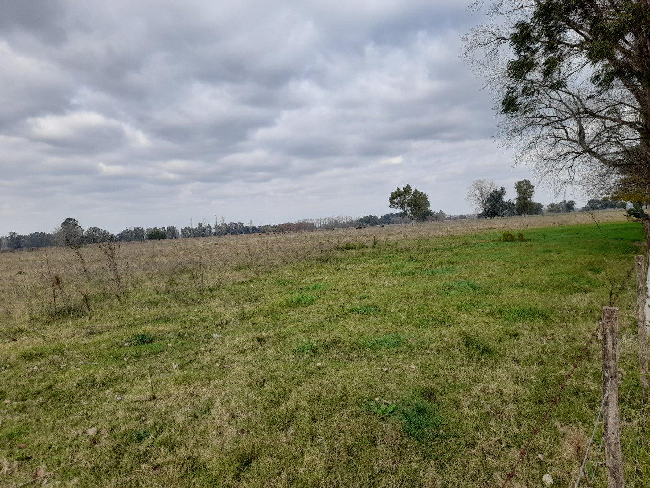 ALQUILER - CAMPO