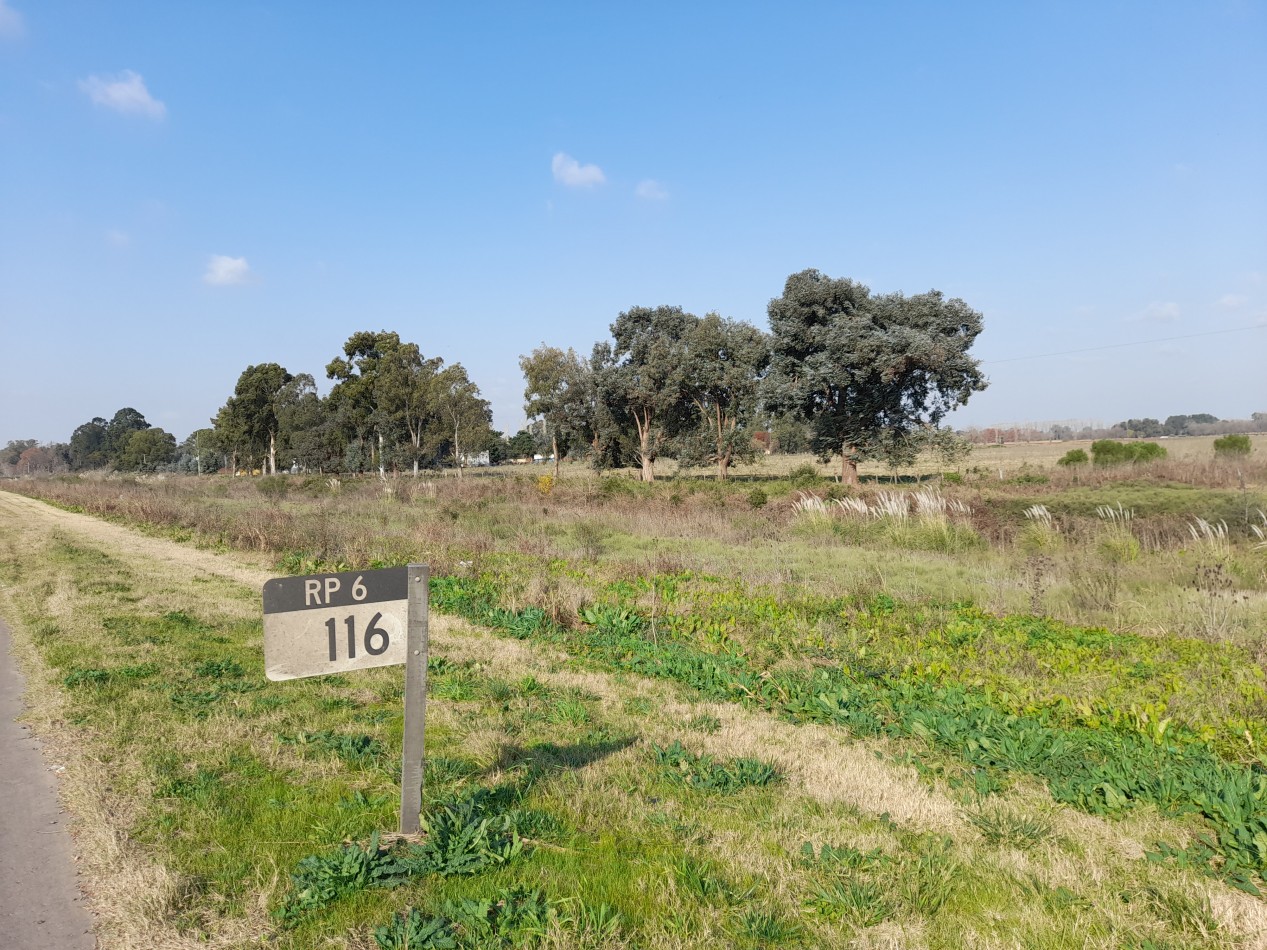 ALQUILER - CAMPO