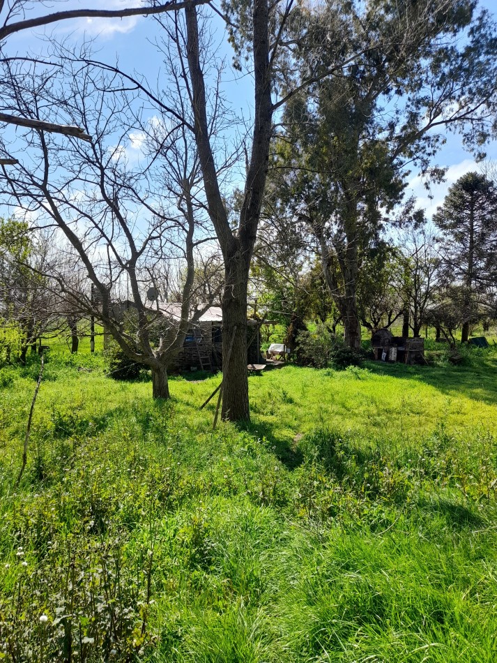ALQUILER - CAMPO