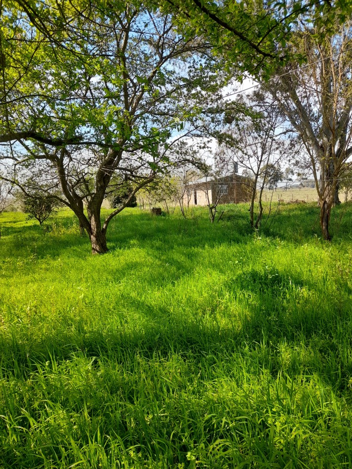 ALQUILER - CAMPO
