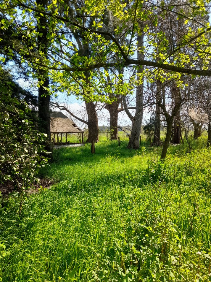 ALQUILER - CAMPO