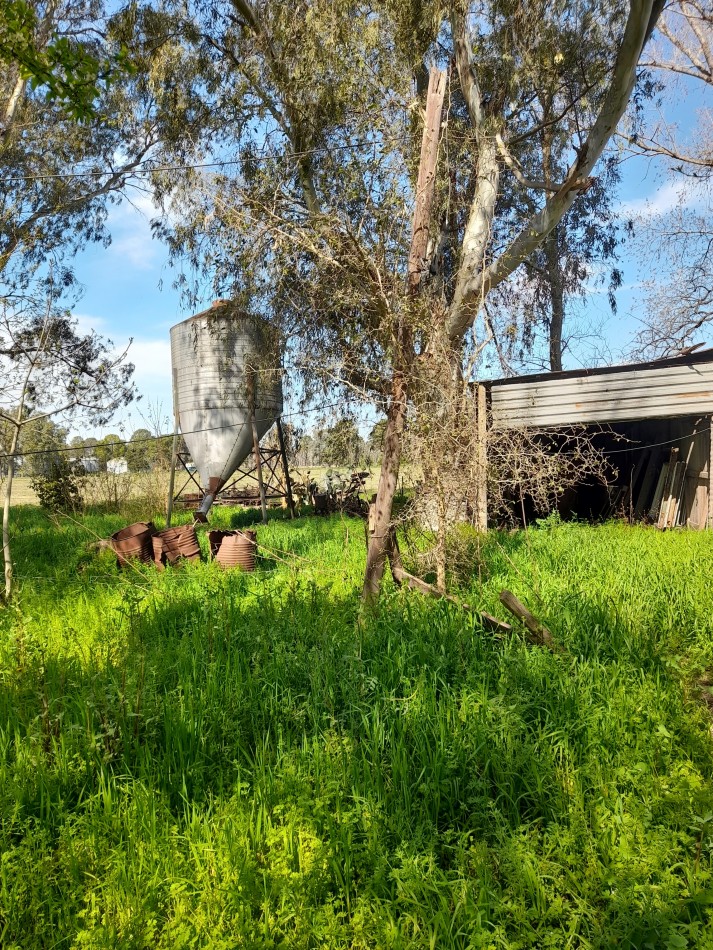 ALQUILER - CAMPO