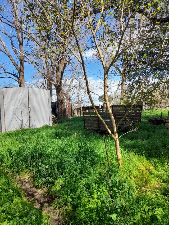 ALQUILER - CAMPO