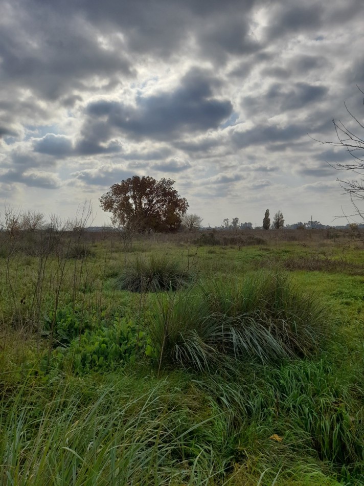 ALQUILER - CAMPO