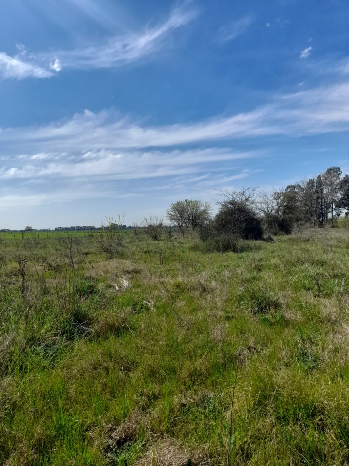 ALQUILER - CAMPO