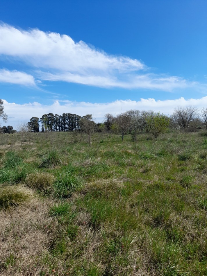 ALQUILER - CAMPO
