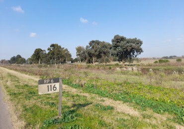 ALQUILER - CAMPO 