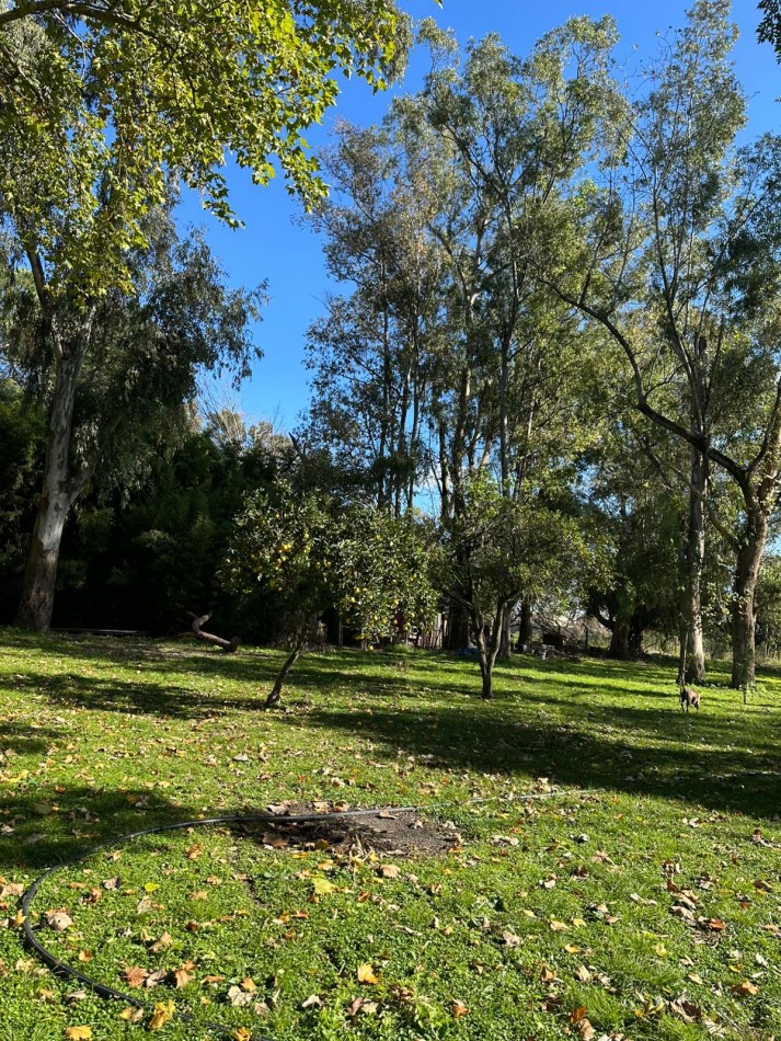 VENTA - HERMOSA CASA QUINTA